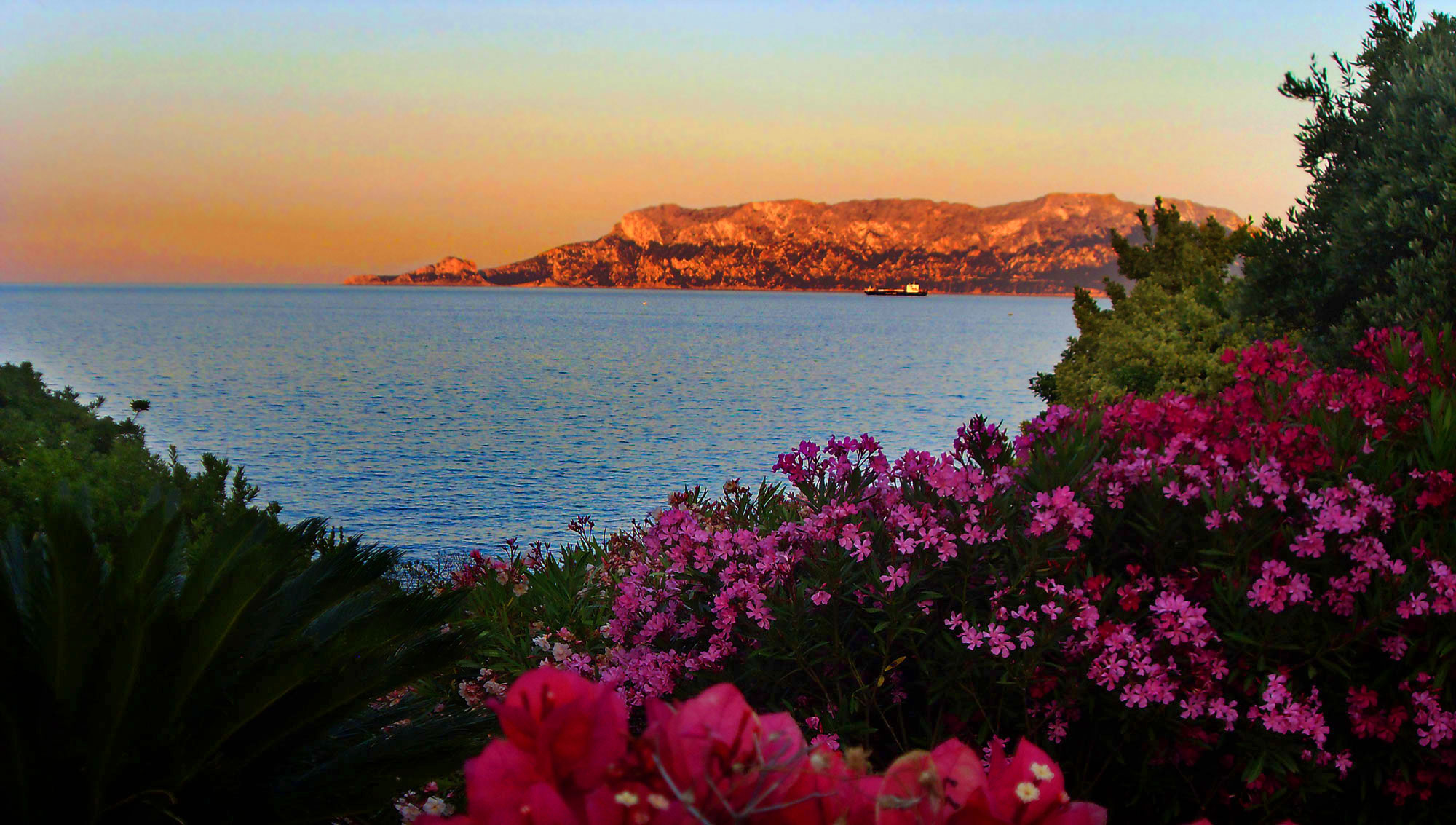 Nodu Pianu | Mare Sardegna, vicino a golfo aranci e la costa smeralda